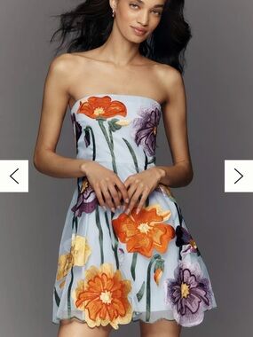 By Anthropologie Floral Organza Mini Dress, Size Large